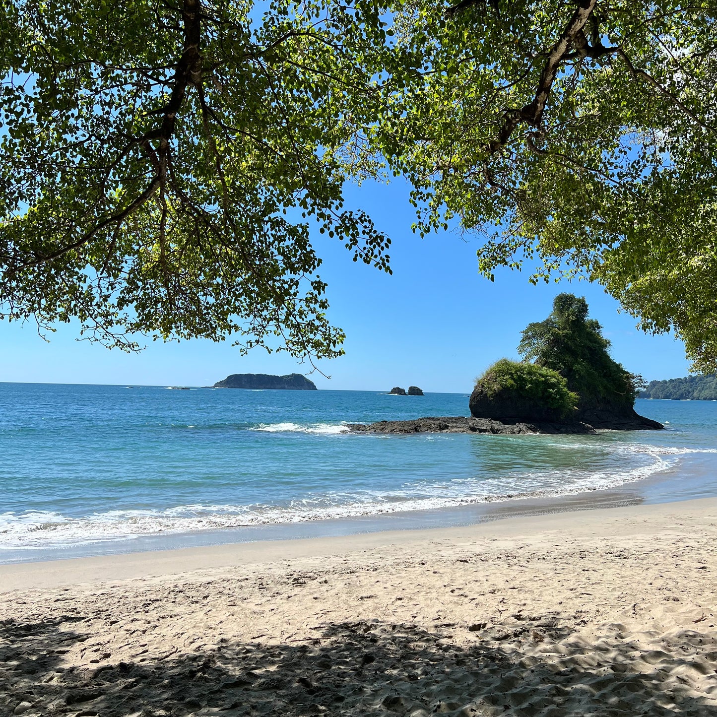 Manuel Antonio National Park
