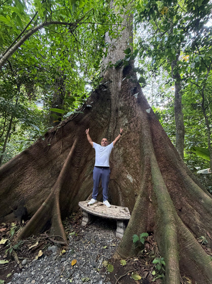 ARENAL VOLCANO SLOTH TOUR AND HOT SPRINGS