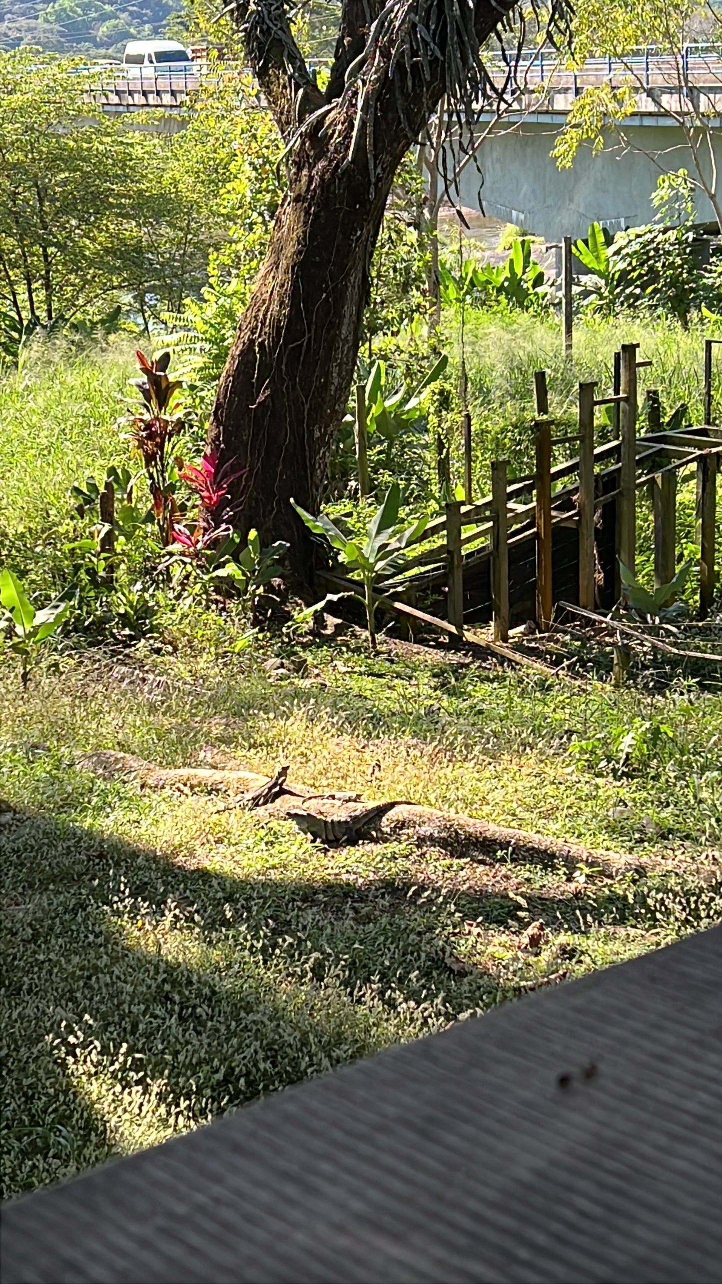 Manuel Antonio National Park
