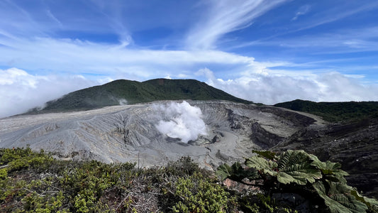 COFFE TOUR AND POAS VOLCANO HALF DAY TOUR