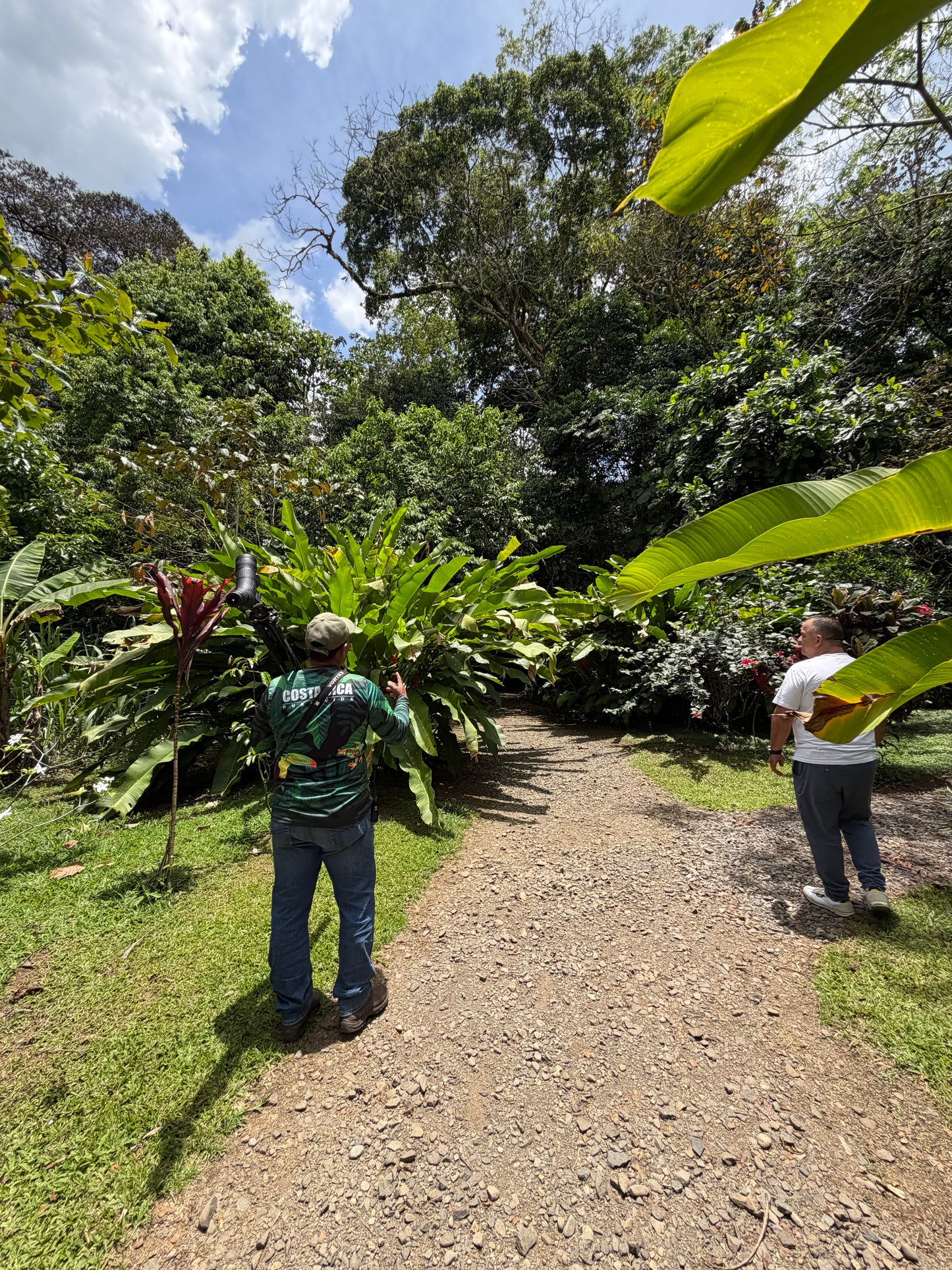 ARENAL VOLCANO SLOTH TOUR AND HOT SPRINGS