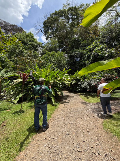 ARENAL VOLCANO SLOTH TOUR AND HOT SPRINGS