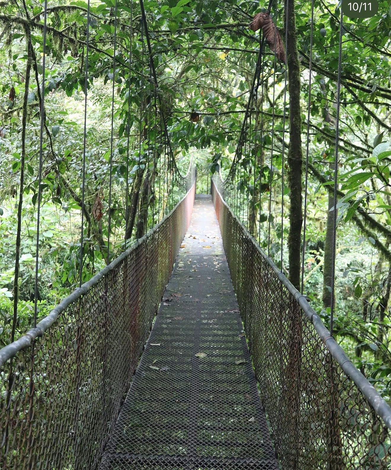 ADVENTURE TOURS