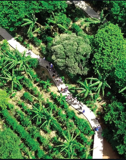 COFFE TOUR AND POAS VOLCANO HALF DAY TOUR