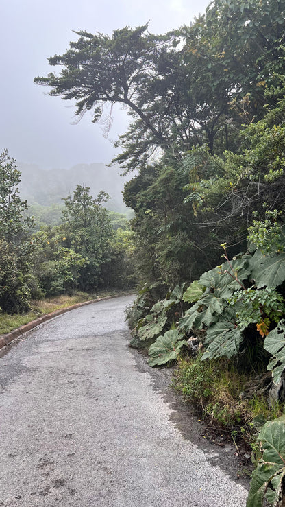 FROM SAN JOSE POAS VOLCANO, COFFE TOUR AND LA PAZ WATERFALLS