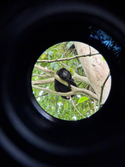 ARENAL VOLCANO SLOTH TOUR AND HOT SPRINGS