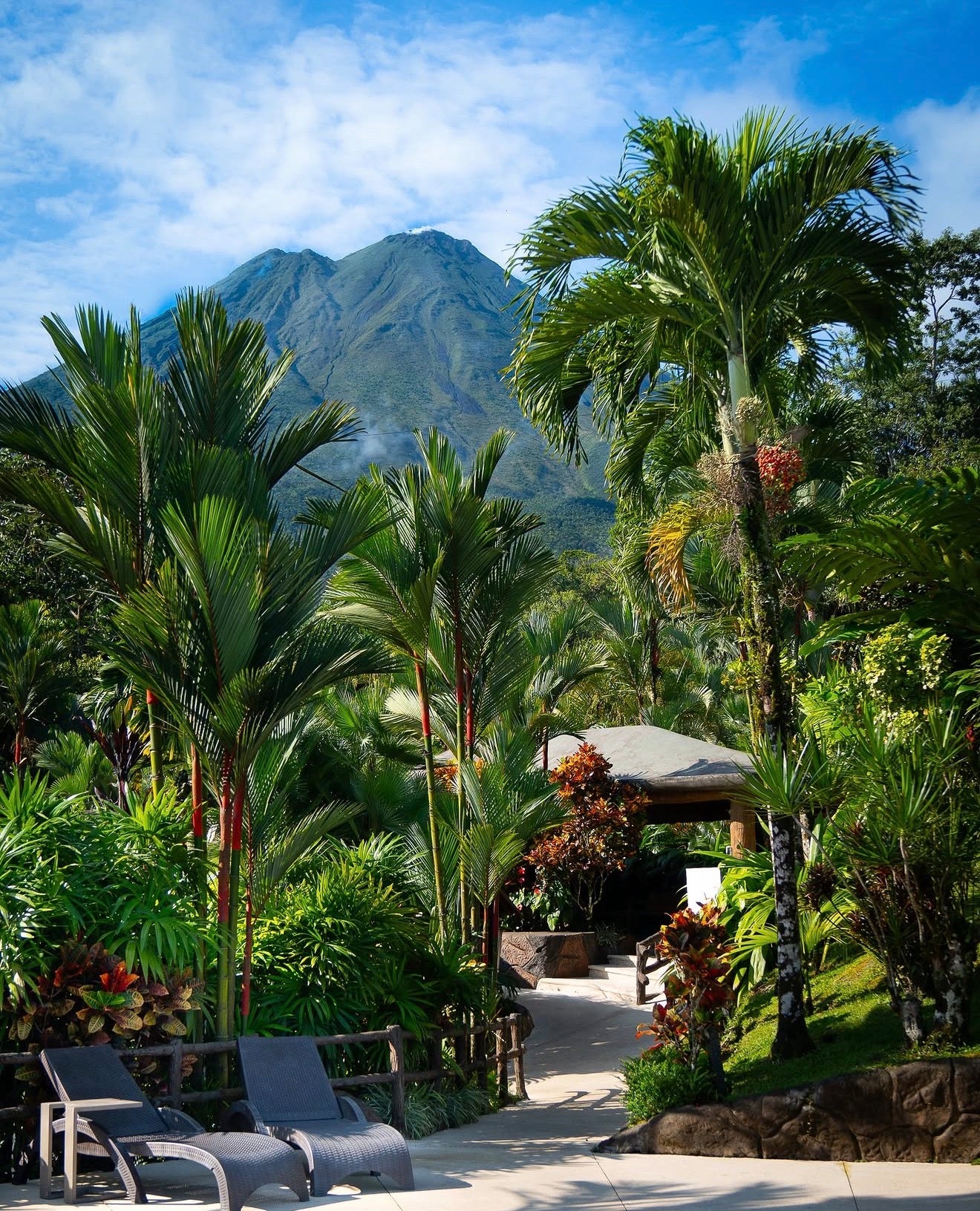 ARENAL VOLCANO SLOTH TOUR AND HOT SPRINGS
