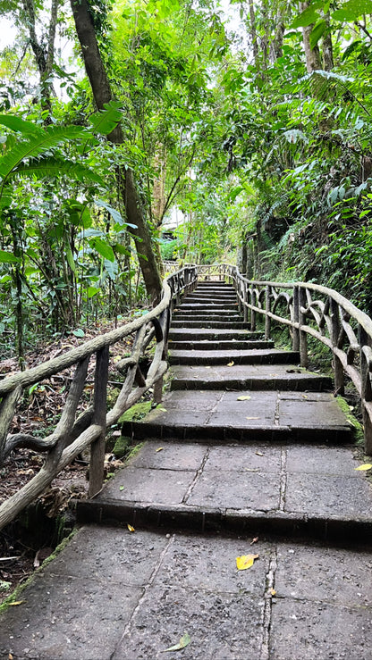 FROM SAN JOSE POAS VOLCANO, COFFE TOUR AND LA PAZ WATERFALLS