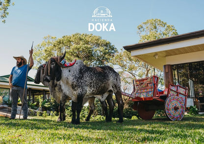 COFFE TOUR AND POAS VOLCANO HALF DAY TOUR