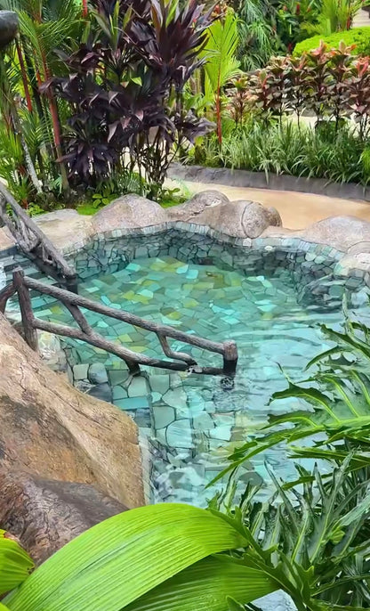 ARENAL VOLCANO SLOTH TOUR AND HOT SPRINGS