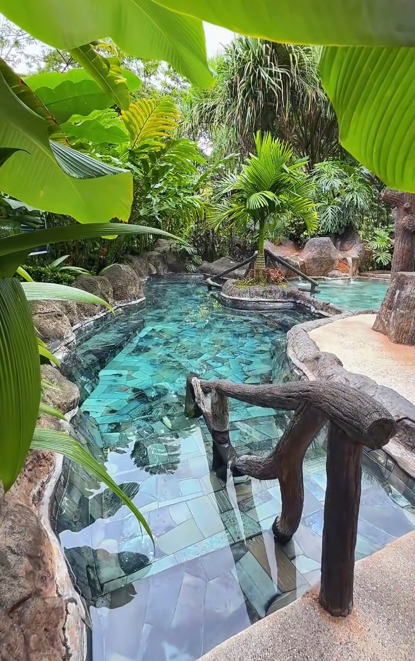 ARENAL VOLCANO SLOTH TOUR AND HOT SPRINGS