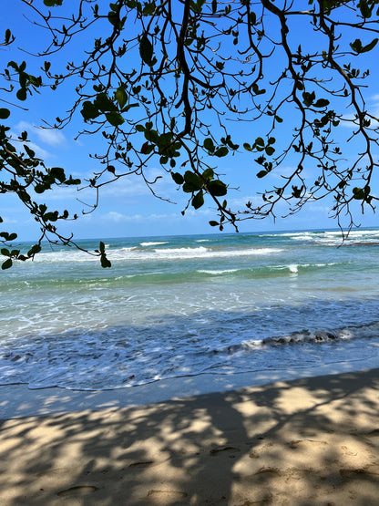 MANUEL ANTONIO NATIONAL PARK