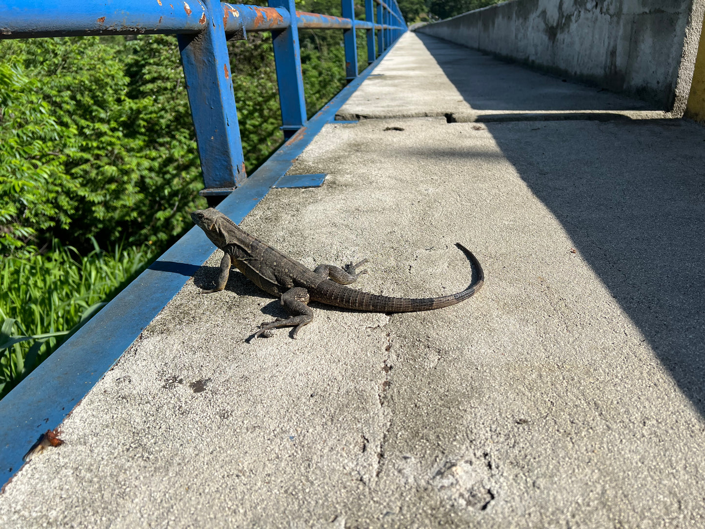 Manuel Antonio National Park