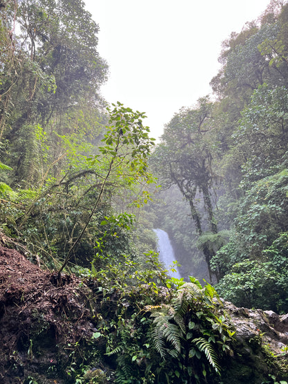FROM SAN JOSE POAS VOLCANO, COFFE TOUR AND LA PAZ WATERFALLS