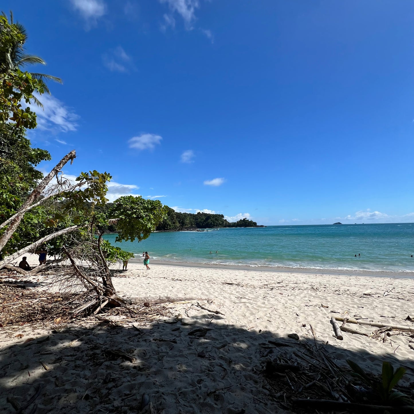 Manuel Antonio National Park