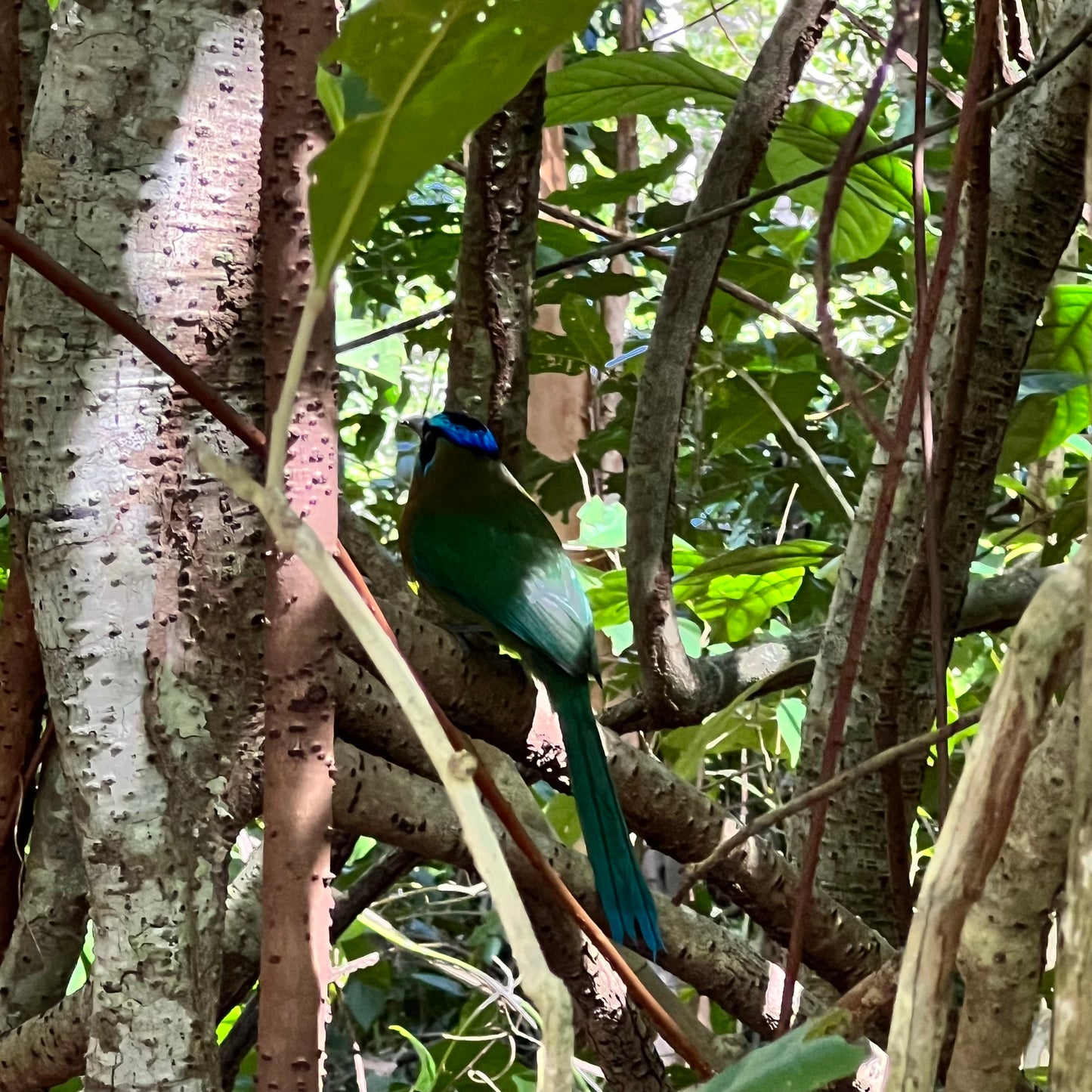 Manuel Antonio National Park