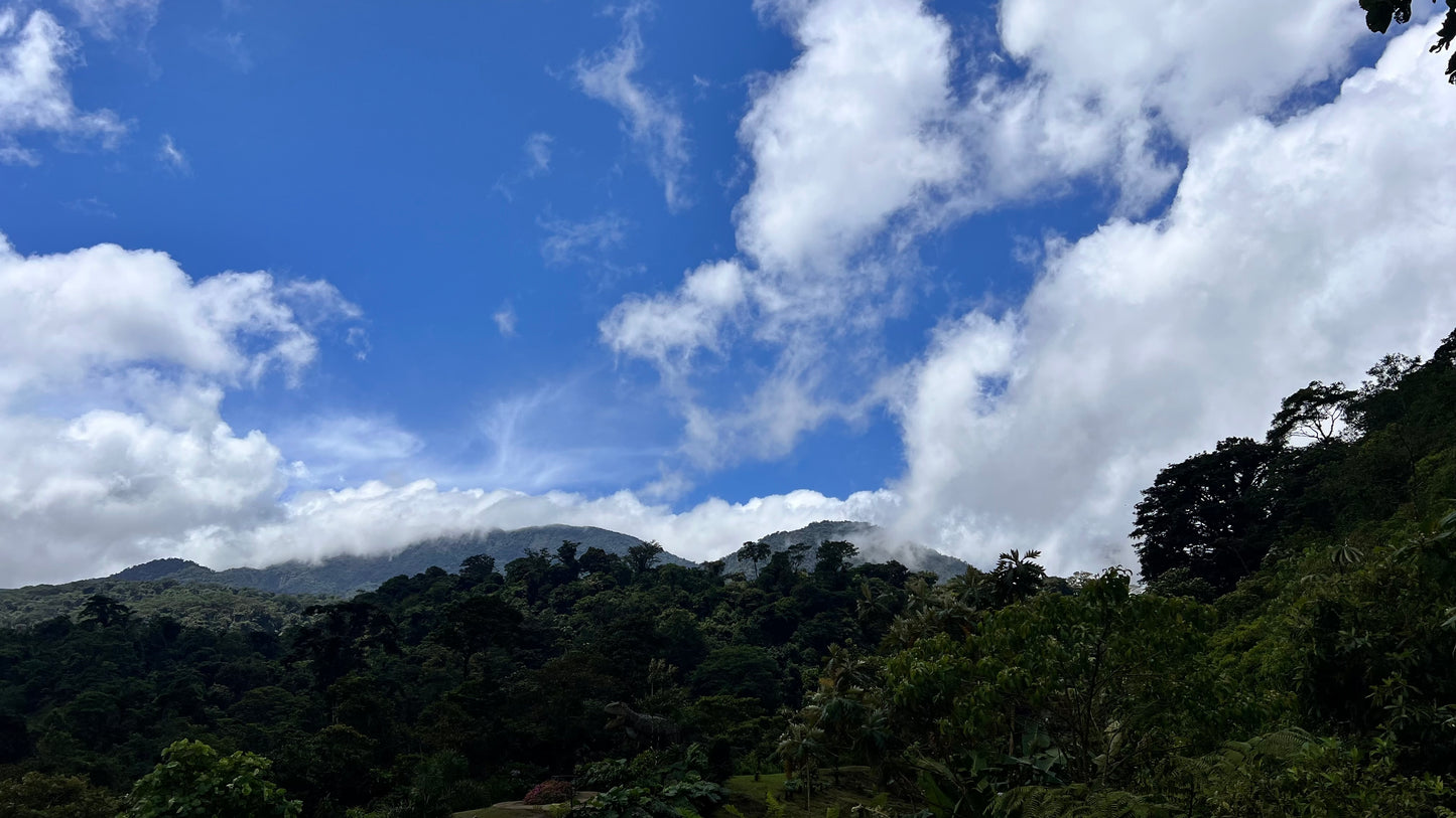 Jurásico Río Agrio