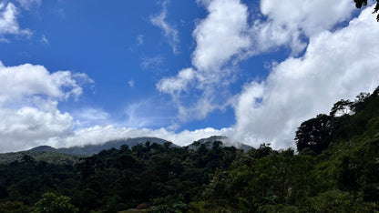 JURÁSICO RIO AGRIO