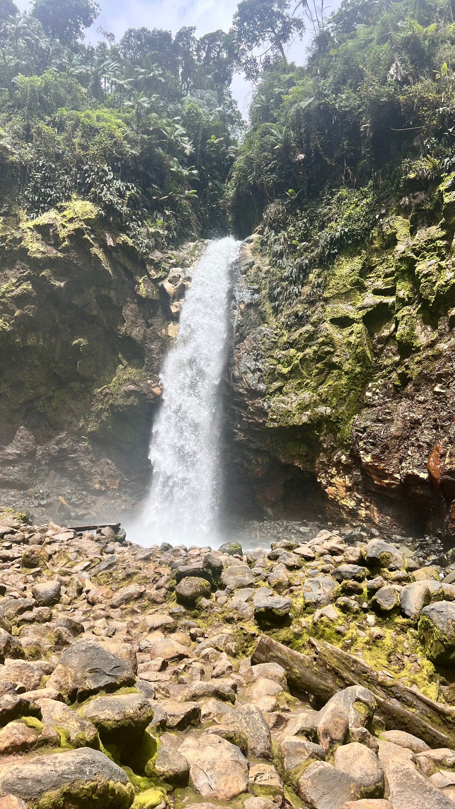 Jurásico Río Agrio