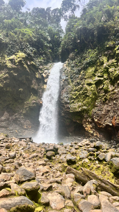 JURÁSICO RIO AGRIO