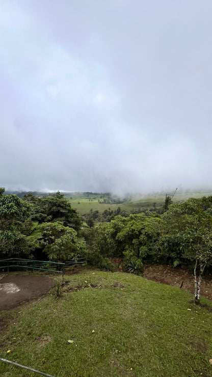 JURÁSICO RIO AGRIO