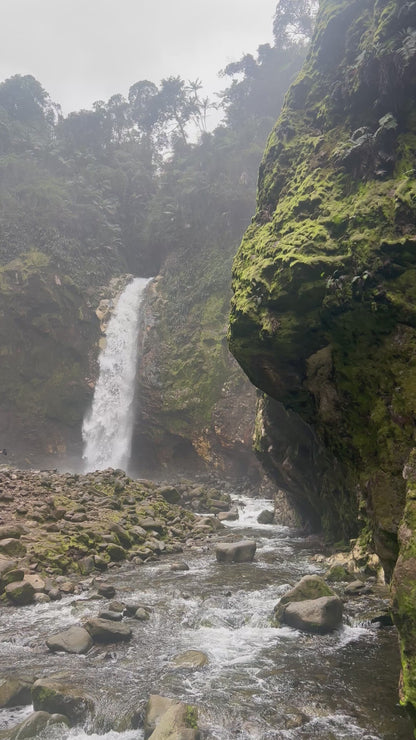 JURÁSICO RIO AGRIO