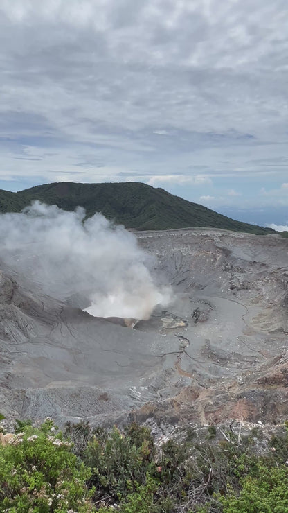 COFFE TOUR AND POAS VOLCANO HALF DAY TOUR