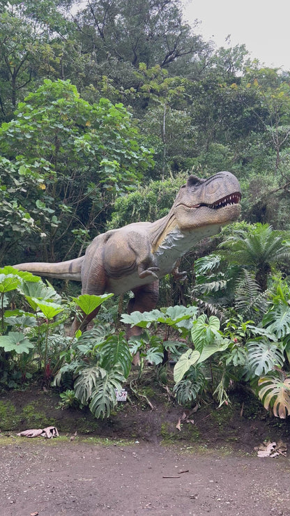 JURÁSICO RIO AGRIO